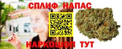 спиды Заволжье